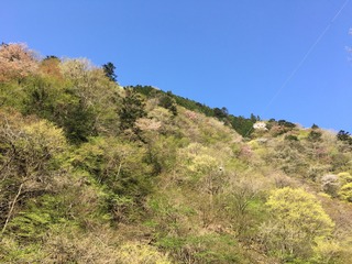 0448C633-0C1F-4178-866F-522478CF71D4.jpeg