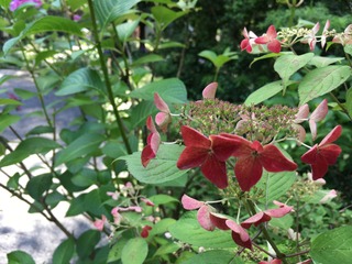 04FF0288-AED8-46D5-9C47-EE47CE74D264.jpeg