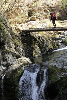 09CA394C-6F7B-430F-95CA-4711156342DF.jpeg