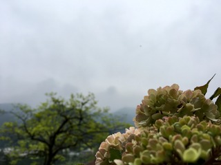 0A9A7E28-10DC-491D-94A9-9EA6FD38E6F7.jpeg