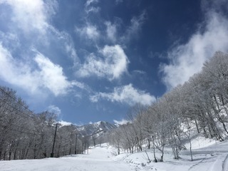 0D00A3DB-033D-4081-B0D3-60625C26EC89.jpeg