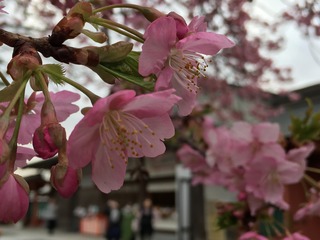 10300B6F-14C4-4A46-AFA9-2020A6F104ED.jpeg