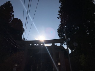135BAD9C-FBAC-467F-8B76-53F448564813.jpeg
