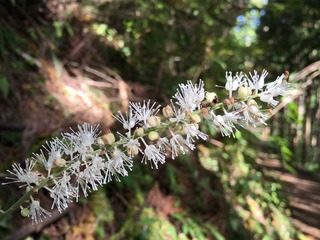 147E39A7-AE99-477B-94ED-E91A179C5DE1.jpeg