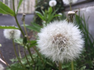 1640C83A-632A-4D3A-805C-D4938050E20D.jpeg
