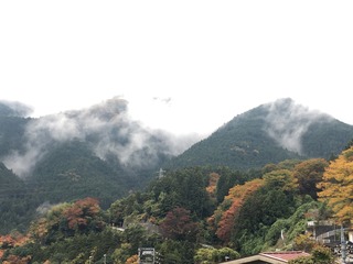 176D193A-8F5A-4747-9FFF-1BC3E0602D70.jpeg