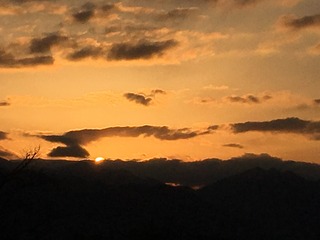 17707992-B463-4906-A901-EB4F6D942646.jpeg