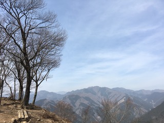 1781DC3C-73EE-4232-94E7-8C1464CA1017.jpeg