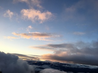 183D488F-1AB3-4807-9F37-552208C48368.jpeg