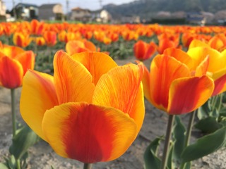 186BA304-4B93-4741-B384-B2500FC6A702.jpeg