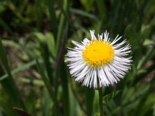 1AB764FE-20D3-42E6-A900-065636D31040.jpeg