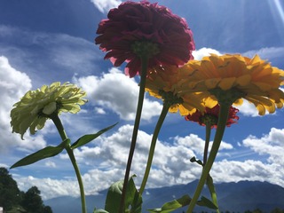1B639E66-1F1B-4A2F-92FA-670164D96BB7.jpeg
