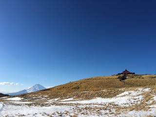 1BA6997A-54AC-4BF1-A0D9-7512FD0B6D51.jpeg