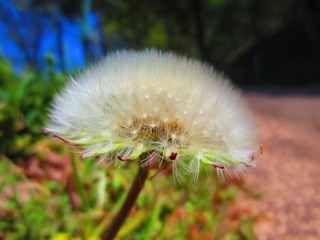 1DB81377-6904-49EB-9F3C-A6A239678C6F.jpeg