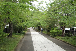 211DD8BE-C609-4F40-AC96-D594B8082156.jpeg
