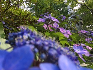 212A51B6-8E56-4DD6-8B40-C3522F4C5CF0.jpeg