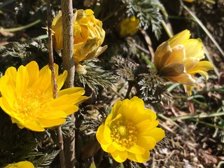 21B25D6B-7CE6-47BE-8B96-A8096CBE9112.jpeg