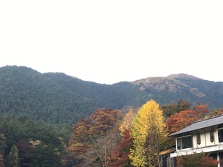 2456B0CD-0BAF-4253-8B0A-B3CCC592C6BD.jpeg