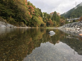 260CF081-E86C-46A6-BC0D-98B27B3A0DE6.jpeg