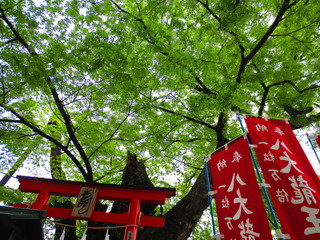 26BA1984-220F-4B1C-A38C-E237F8BDC095.jpeg