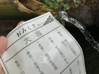 29507269-6D74-4A9E-9DBB-13C044F403BA.jpeg