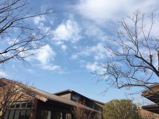 2AADD701-BFBA-4671-AF59-E052E3EF39D9.jpeg