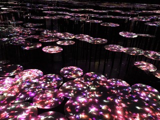 2D11C733-93D9-4B83-B364-AAF57B5DB8B4.jpeg