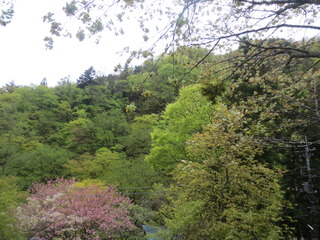 2F644B88-758F-4930-AD17-E4EDCB9EDEB1.jpeg