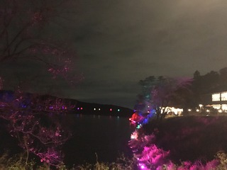 31702012-1441-4D55-8D93-213867D33B1F.jpeg