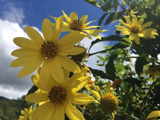 3306E789-6F0D-41B9-A2DF-96641AE77749.jpeg