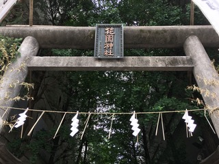 34A7AA62-70FC-4FCA-8AB8-F7D3A55B8664.jpeg