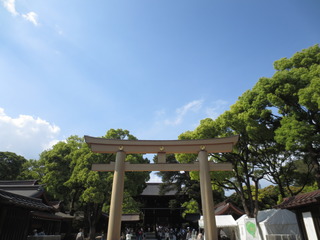 381F08DF-59E1-440B-8596-B4ED95B519C0.jpeg