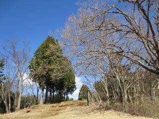 39EA2160-BC6A-460D-88D7-958E26272D96.jpeg