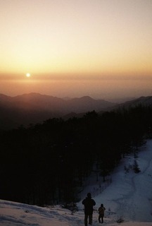 3A29E6A5-59C4-4464-8874-36CA616C8FE4.jpeg