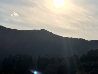 3AD9176E-044A-47AB-8B19-A6F6985B0895.jpeg