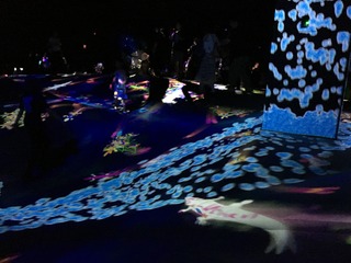 429F8AB5-F662-4018-9109-EA169874DAC6.jpeg