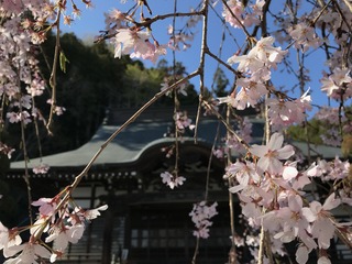 44005A68-0F29-482D-A3D6-BC44537AE4B9.jpeg