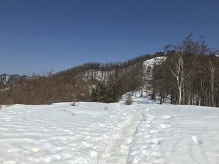 44FB44E9-0D9E-4588-AB9C-614D39FC562E.jpeg
