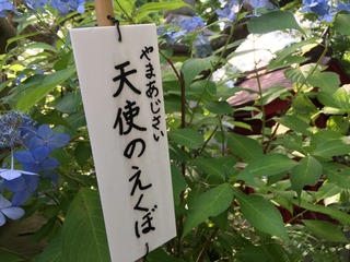 4589C494-E53A-46A3-9B5A-4D1A45D26EC9.jpeg