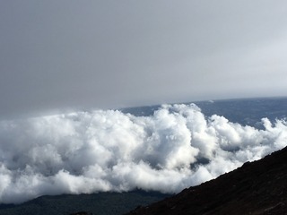 467284A0-3949-47D3-8774-3EF11B066999.jpeg
