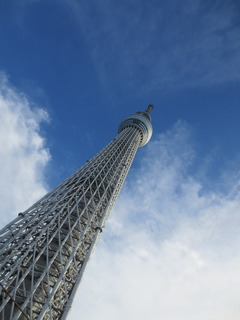 47B9CEB1-4AD0-408F-A8A8-F7139FF3872D.jpeg