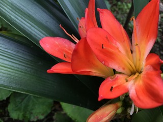 4AF80452-8C2C-496B-8596-7C618E867E04.jpeg