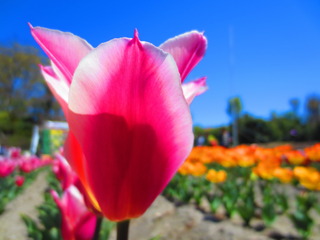 4CDD6D02-E50D-432C-83F1-B7E3401A6F06.jpeg