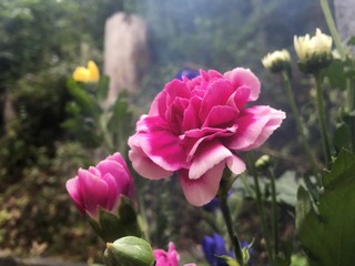 4E3D716B-D27C-47BC-B659-46EE38A384DF.jpeg