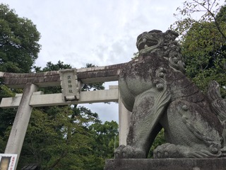 4E8F9264-F0DD-44DB-B426-C53335C65DE7.jpeg