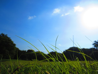 4FA4DB77-6D61-4A09-A630-D0AC93F6871A.jpeg