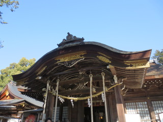 506F98B1-C6E2-475E-9039-08A436405E08.jpeg