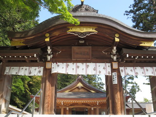 53B66DEE-2DC3-47BC-B95D-5300FA703C08.jpeg