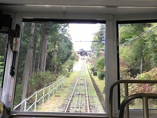 5470E1A5-114D-4690-9901-8DDFFF08EA29.jpeg