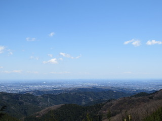 547BE290-47D0-465C-A1F2-BBB70F3F9F6E.jpeg
